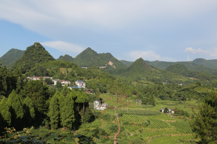 湖南土壤厅发生层木盒标本