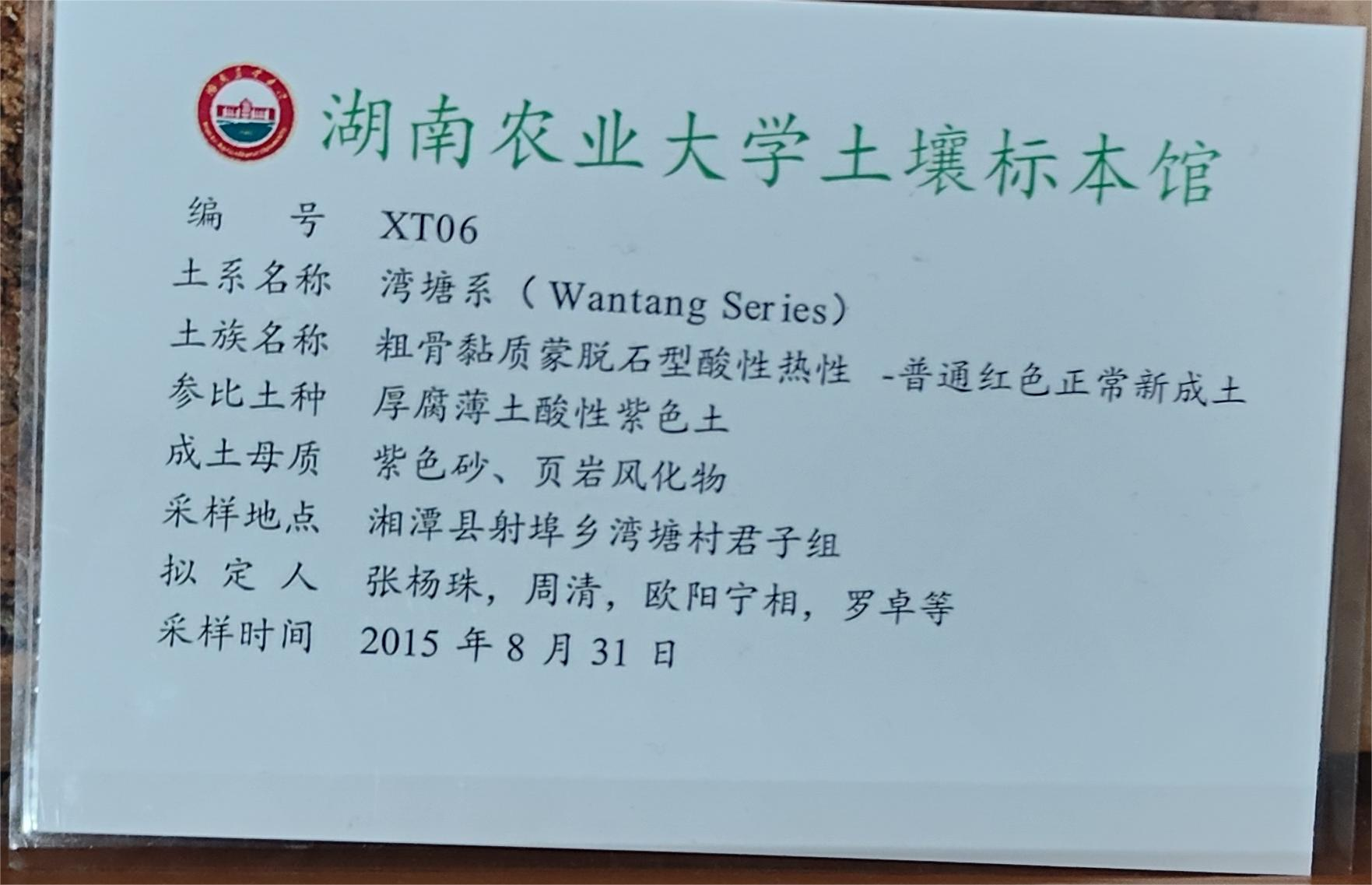 新成土纲整段标本